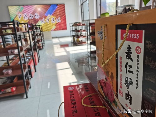 新媒體 高峰論壇 在河南軒豆文化傳播舉辦